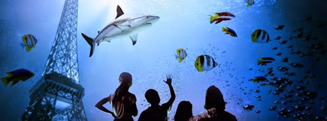 Aquarium Cinéaqua de Paris Aquarium Cinéaqua de Paris