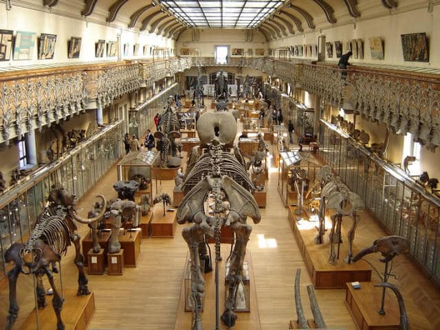 Museu Nacional de História Natural de Paris Museu Nacional de História Natural de Paris