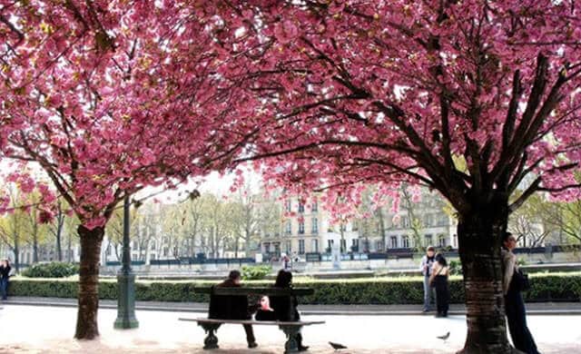 Parques de Paris em Março Parques de Paris em Março